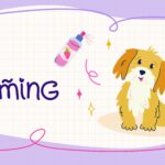 Pet grooming website banner design Cute dog in flat style Equipment and cosmetics for dog grooming