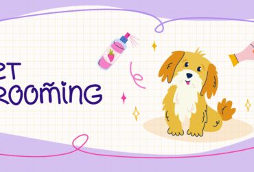 Pet grooming website banner design Cute dog in flat style Equipment and cosmetics for dog grooming