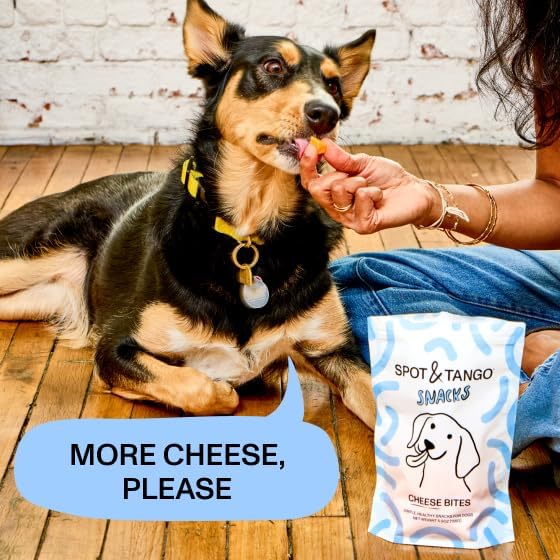 Spot & Tango Cheese Bites Dog Treats - Single Ingredient, 100% Cheese - Freeze-Dried, Grain & Gluten-Free - USA-Made - for Small, Medium, and Large Dogs